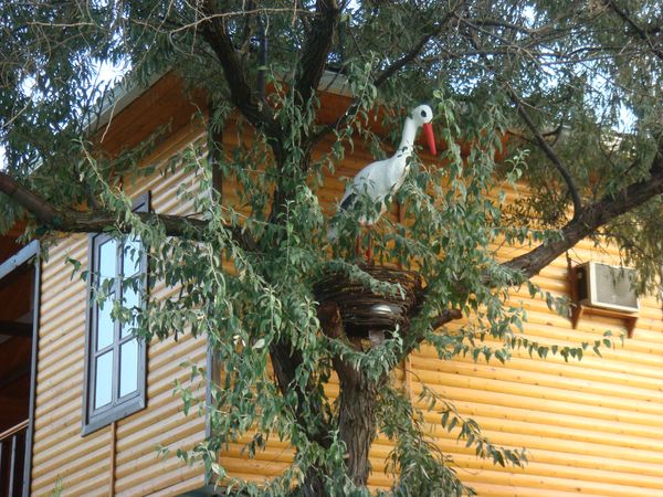 База отдыха 'Афалина'