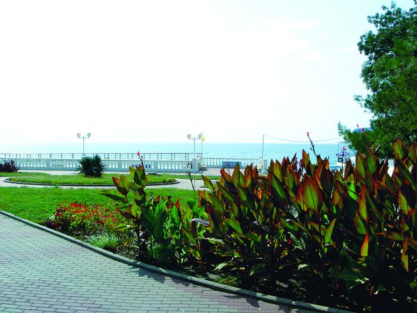 База отдыха 'Дивное'