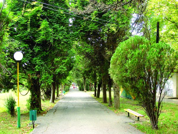 Пансионат 'Космос' корпус 'Вега'