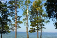 База отдыха 'Чайка'