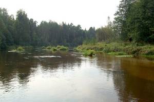 Клуб-отель 'Узола'