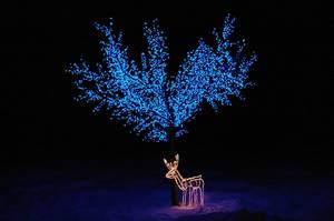 Клуб-отель 'Узола'