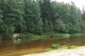 Клуб-отель 'Узола'