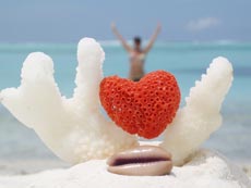 Свадебные церемонии на Мальдивах